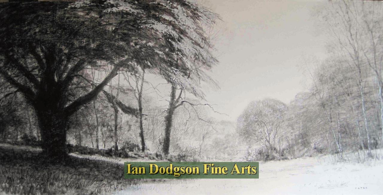 Snow in the park. (Parc Meurig Bethesda) by Jeremy Yates