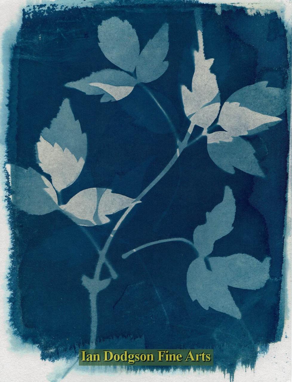 Garden Plants No3 by Gill Hughes