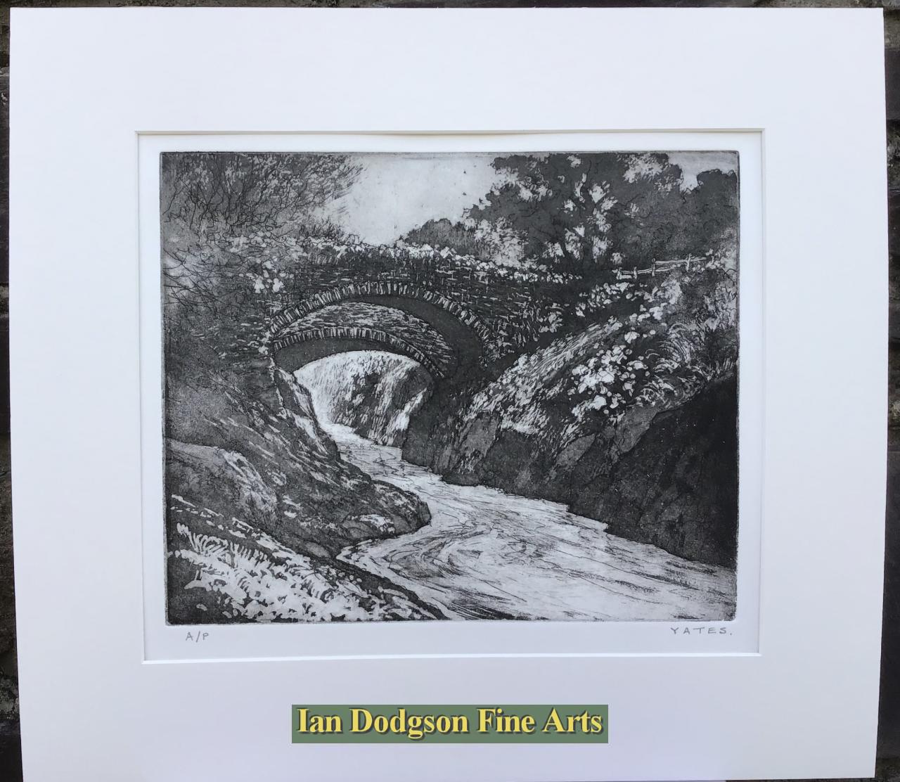 Black Bridges by Jeremy Yates