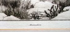'Herbert Dicksee RA, RE, - Marauders